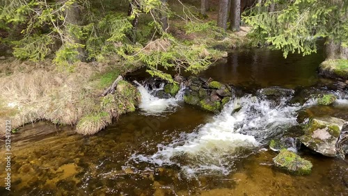 Wild stream in the reserve. Spring. Sumava, Czech Republic. 4K