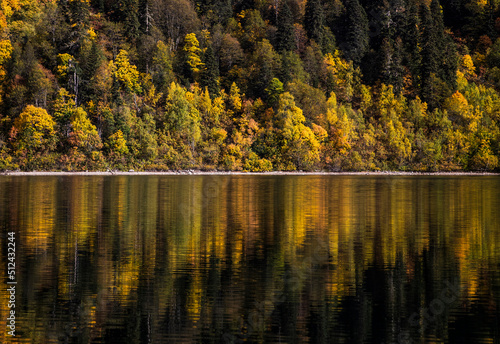 Colorful orange and yellow trees on the slope of a mountain reflect in a lake in Caucasus national reserve. Autumn forest reflects in water. Fall beautiful landscape. 