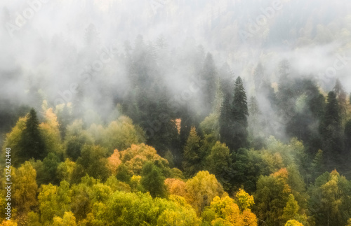 Misty landscape with mixed autumn forest. Glowing clouds run atop the mountain slope.
