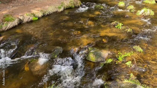 Wild stream in the reserve. Spring. Sumava, Czech Republic. 4K