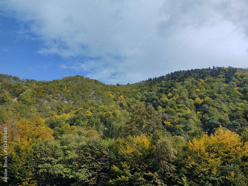 Autumn colorful leaves on the ground and on the trees. Slovakia	