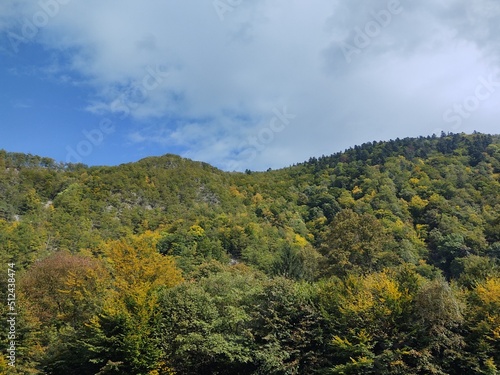 Autumn colorful leaves on the ground and on the trees. Slovakia 