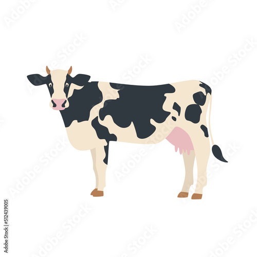 Vector illustration of cow isolated on white. Farm animal
