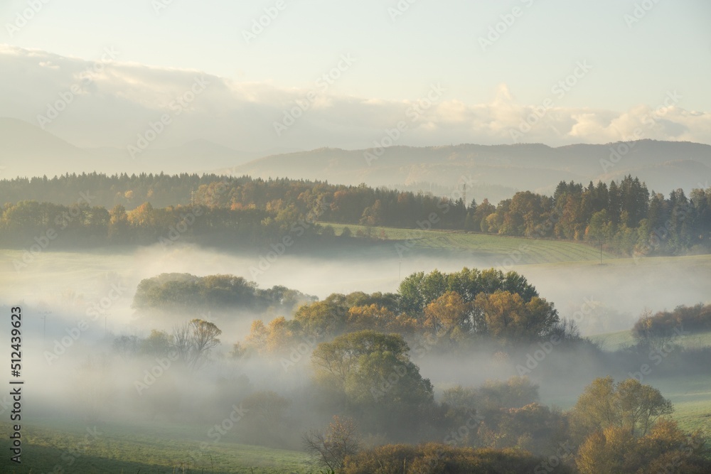 Mist inversion in the woods and mountains during autumn and winter. Slovakia