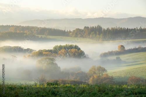 Mist inversion in the woods and mountains during autumn and winter. Slovakia