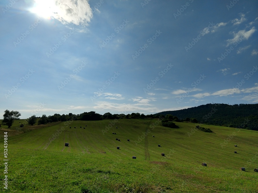 Hay bales on the meadow during autumn. Slovakia Hay bales on the meadow during autumn. Slovakia