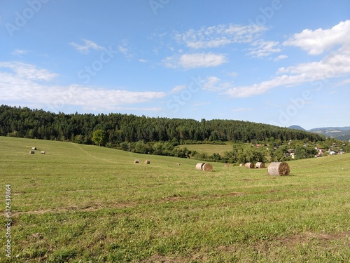 Hay bales on the meadow during autumn. Slovakia
