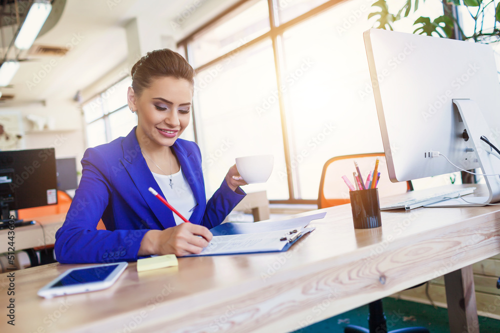 Beautiful business woman in the interior in the process of work
Beautiful business woman in the interior in the process of work