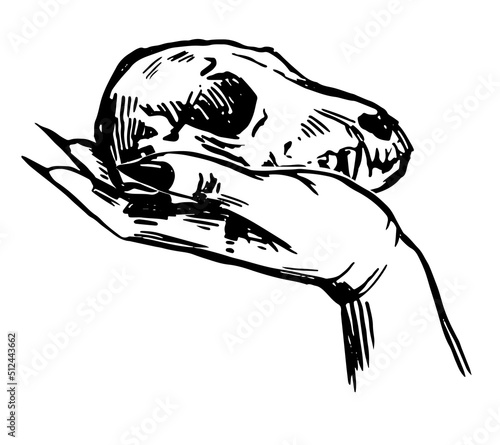 Witch's hand ink sketch. Drawing of hand holding animal skull. Halloween spooky vector illustration. Retro outline clipart for decor isolated on white.