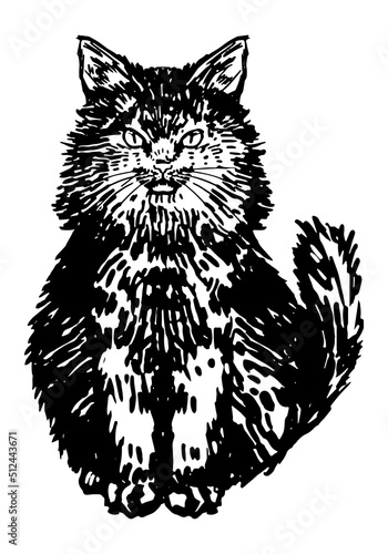 Fluffy black cat. Hand drawn halloween vector illustration. Realistic ink sketch of witch familiar animal. Clipart for decor isolated on white.