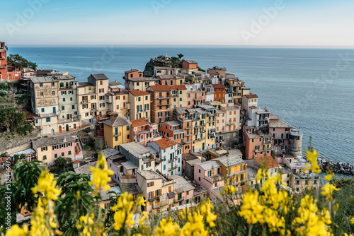 View of Manarola,Cinque Terre,Italy.UNESCO Heritage Site.Picturesque colorful village on rock above sea.Summer holiday,travel background.Italian Riviera landscape.Houses on steep cliff,vineyards. photo