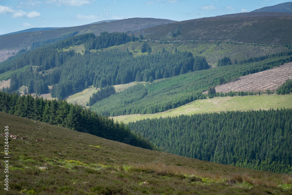 Fototapeta premium Looking down a valley towards a Wicklow National Park