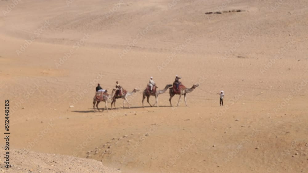 camel caravan goes through the desert camel caravan goes through the desert
