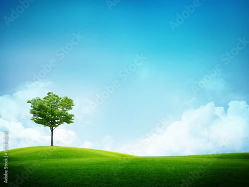 green tree on a field