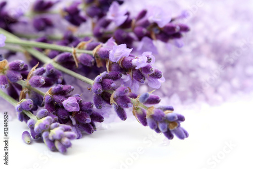 lavender flowers isolated on white background