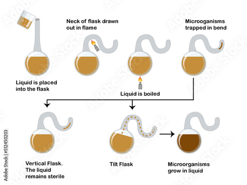 Chemistry Experiment