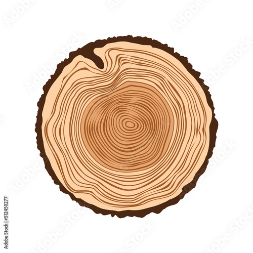 Round tree trunk cut, sawn pine or oak slice. Saw cut timber, wood. Brown wooden texture with tree rings. Hand drawn sketch. Vector illustration