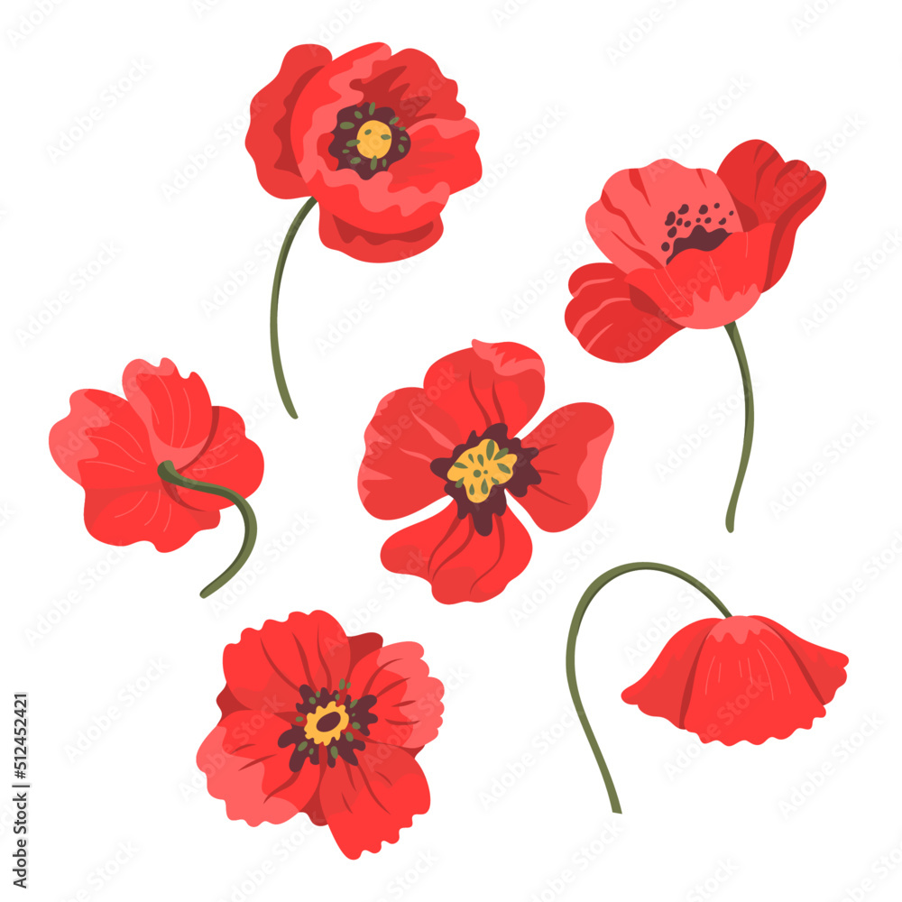 Vector botanical illustration of poppies. Isolated objects of white. Bright colorful flowers for prints, fabrics and backgrounds. Vivid colors. Hand drawn flat doodle illustration Vector botanical illustration of poppies. Isolated objects of white. Bright colorful flowers for prints, fabrics and backgrounds. Vivid colors. Hand drawn flat doodle illustration