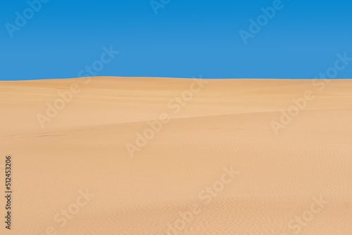 lifeless sandy desert landscape under blue sky © Evgeny