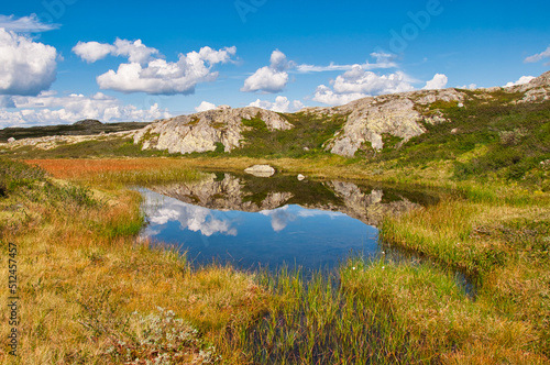 Tarn reflections, Hallingskarvet NP, Norway