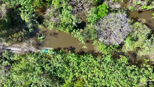 Boat sailing at Amazon river at Amazon forest at Amazonas state Brazil. Mangrove forest. Mangrove trees. Brazilian amazon rainforest nature landscape. Amazon igapo submerged vegetation. photo