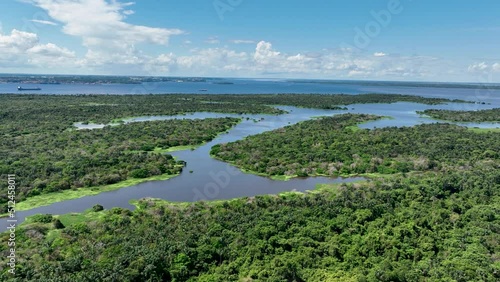 Wallpaper Mural Manaus Brazil. Taruma River at Amazon Forest affluent of giant Black River at Amazonian Biome. Natural wildlife landscape. Global warming logging deforestation. Amazon rainforest wildlife. Torontodigital.ca