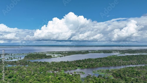 Nature aerial view of Amazon forest at Amazonas Brazil. Mangrove forest. Mangrove trees. Amazon rainforest nature landscape. Amazon igapo submerged vegetation. Floodplain forest at Amazonas Brazil. photo