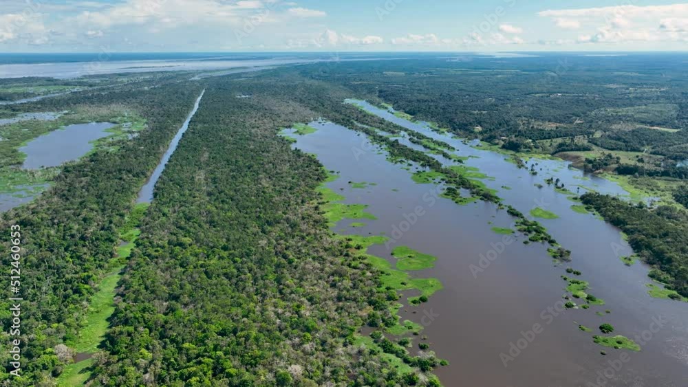 Amazon River at Amazon Forest. The famous tropical forest of world