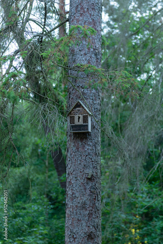 birdhouse in the forest  © Asodium
