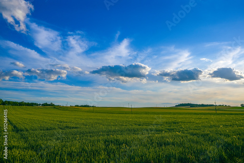 pola  niebo  gras  krajobraz  hayfield  charakter  rolnictwa  ziele    lato  bl  kit  chmura  przenica  jary  obszar  w wiejskich  farma  chmura  horyzont  kraina  kraj  ro  lin  countryside  