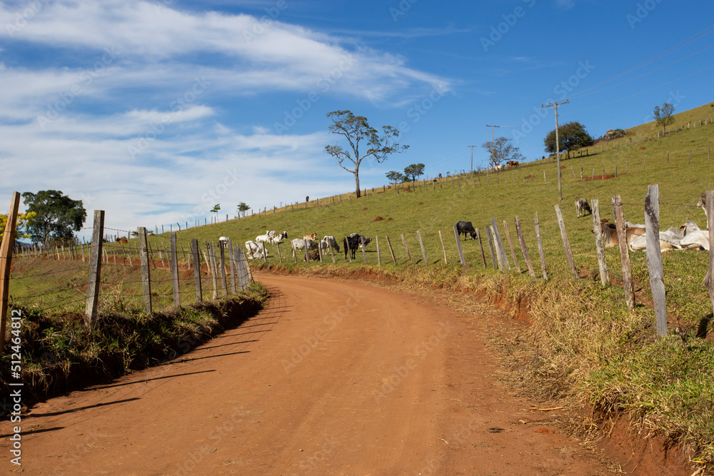 Paraisópolis, Minas Gerais, Brasil: Estrada rural da cidade de Paraisópolis na Serra da Mantiqueira, fazendo parte do Caminho da Fé
