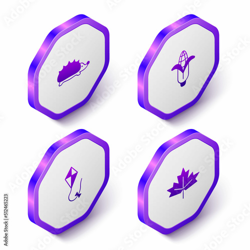 Set Isometric Hedgehog, Corn, Kite and Canadian maple leaf icon. Purple hexagon button. Vector