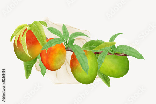 watercolor mango fruits wreath and background design