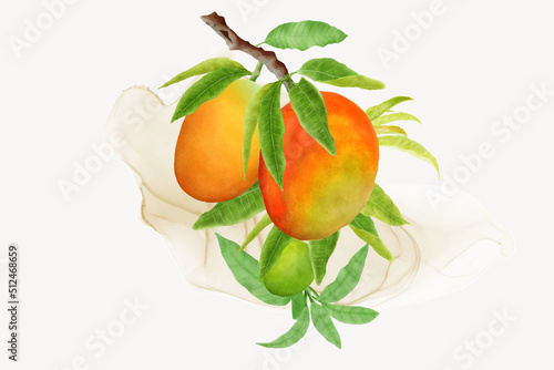 watercolor mango fruits wreath and background design