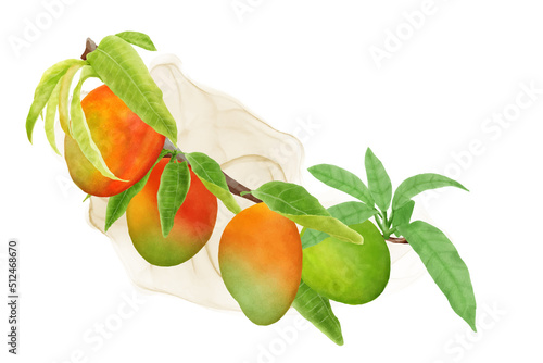 watercolor mango fruits wreath and background design