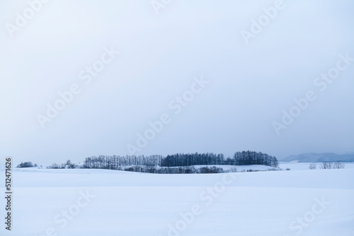 Wide view of the minimal Biei countryside in winter, Hokkaido, Japan © discoverjapan