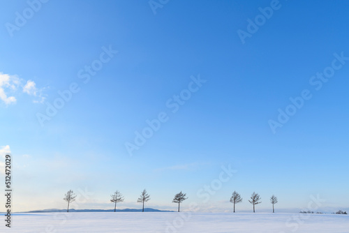Group of trees in a snow field at Meruhen Hill in winter, Hokkaido, Japan