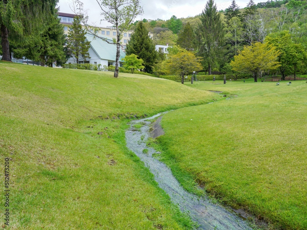 新緑に囲まれた芝生広場の情景＠蓼科湖、長野