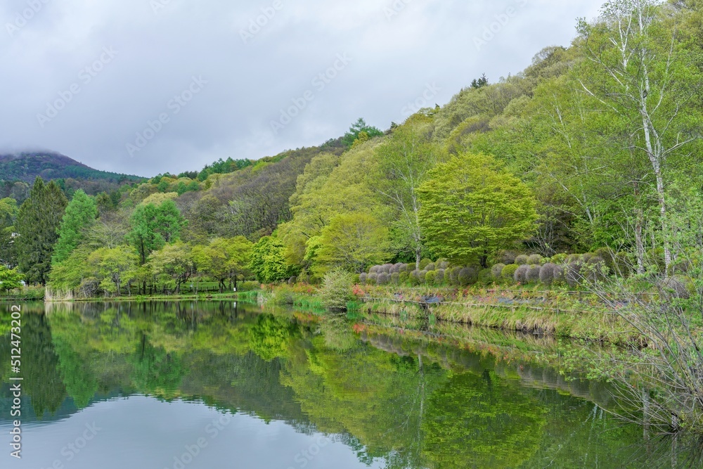 新緑に包まれた春の蓼科湖の情景＠長野