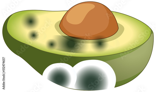 An avocado with mould
