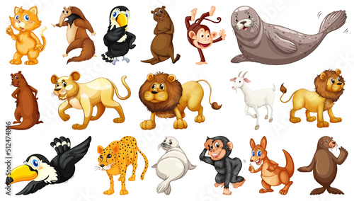 Wild animals on white background