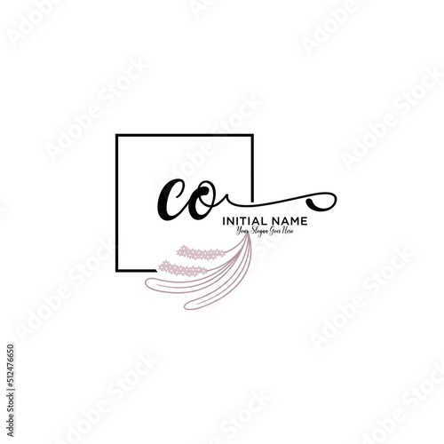 Initial letter CO beauty handwriting logo vector