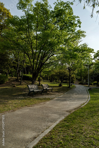 公園の散策路とベンチのある朝の風景