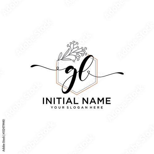 Initial letter GL beauty handwriting logo vector