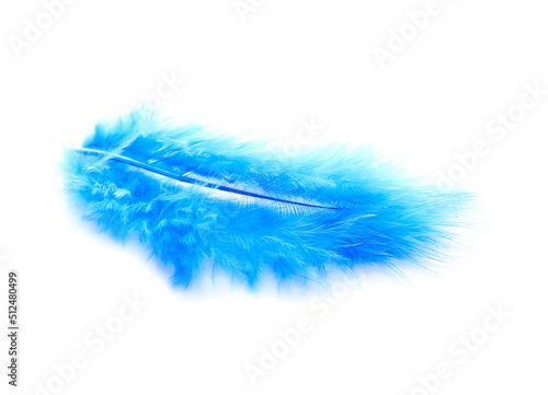 Beautiful blue feather on w...