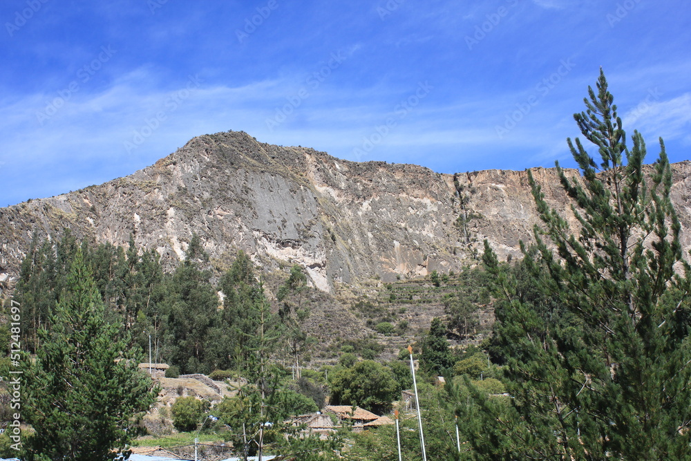 montaña en el sur del peru con pinus radiata al rededor 2018 perú