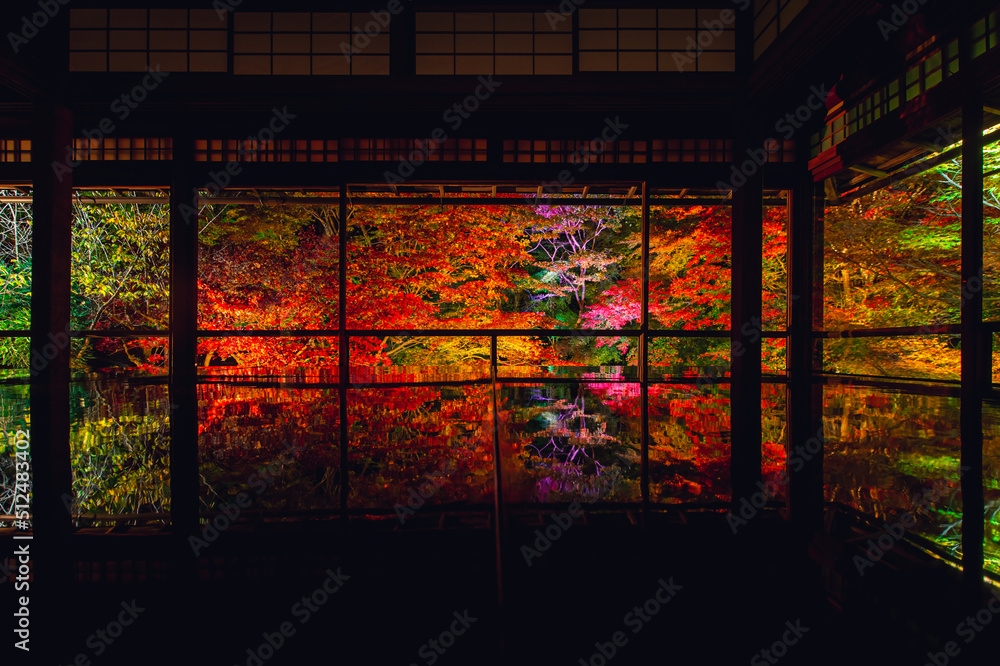 Naklejka premium 京都 瑠璃光院の夜紅葉 -Red leaves in Kyoto-