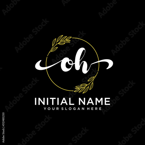 OH Initial handwriting logo vector. Hand lettering for designs.