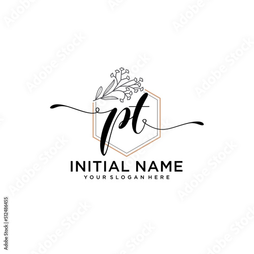 Initial letter PT beauty handwriting logo vector