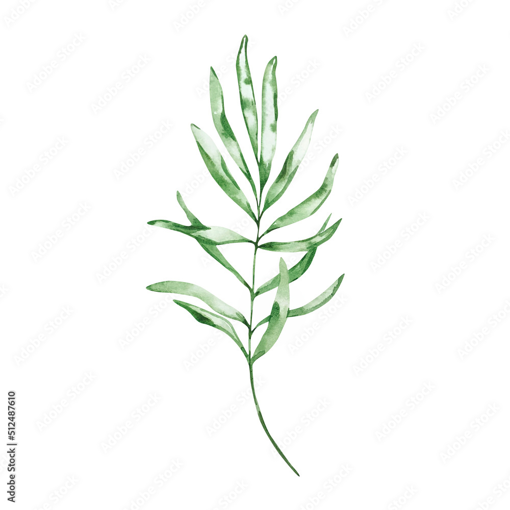 Watercolor branch with leaves Watercolor branch with leaves